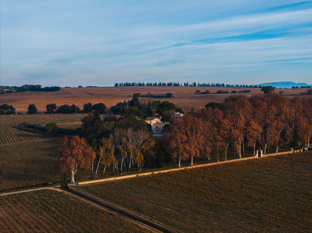 Vignoble – photo 9