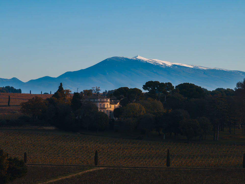 Vignoble – photo 6