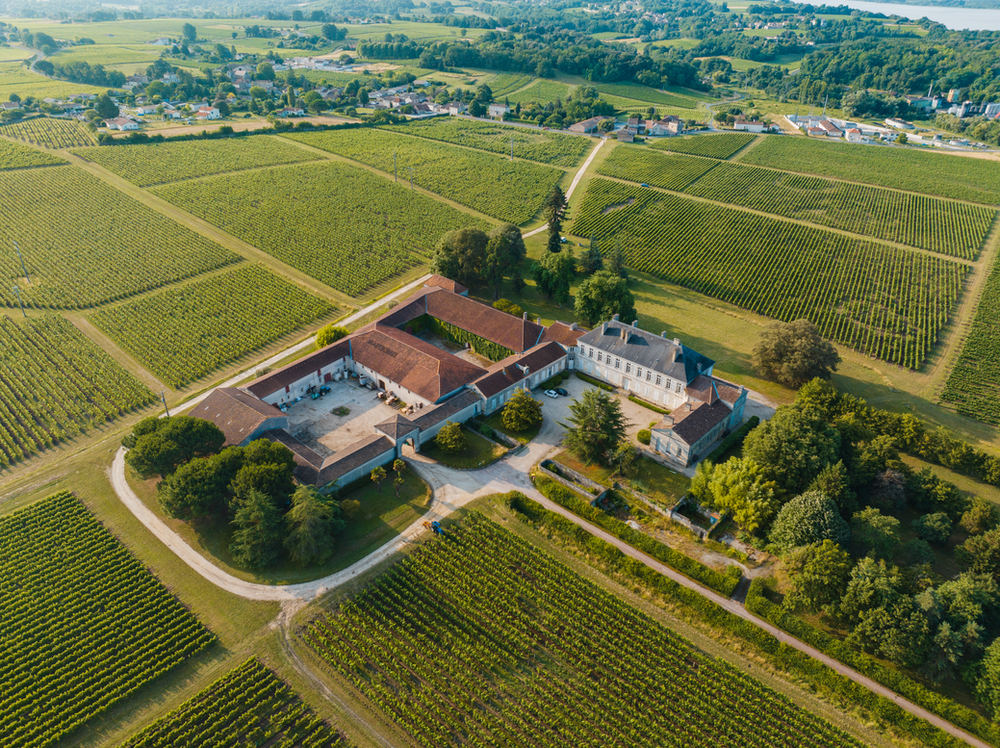 Vignoble – photo 5